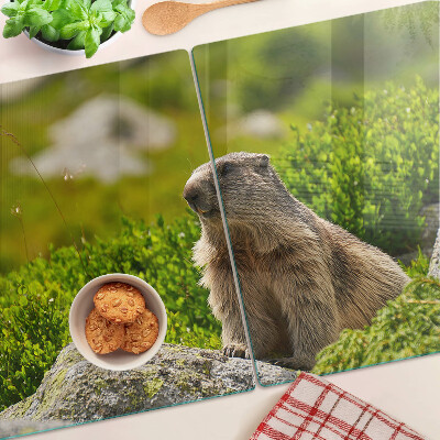 Planche à découper en verre Marmotte sur fond d'herbe verte