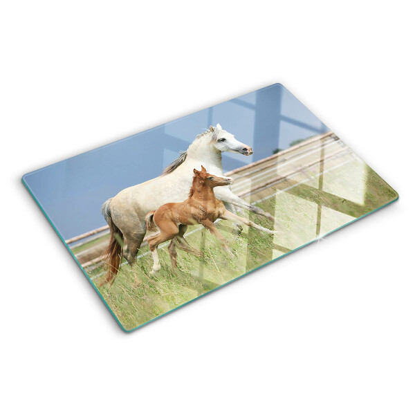 Planche à découper en verre Un cheval avec un poulain dans un pré