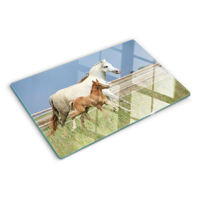 Planche à découper en verre Un cheval avec un poulain dans un pré