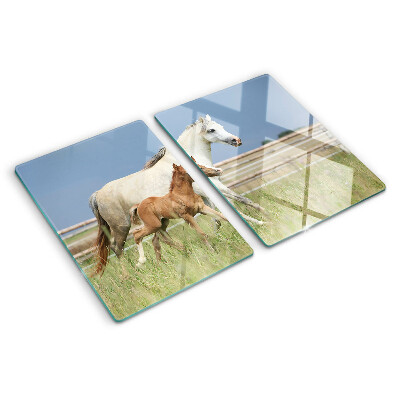 Planche à découper en verre Un cheval avec un poulain dans un pré