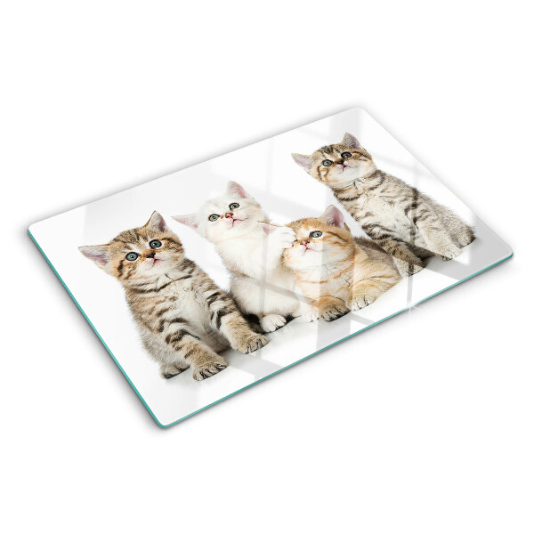 Planche à découper verre Un troupeau de chatons