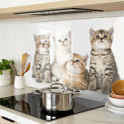 Planche à découper verre Un troupeau de chatons