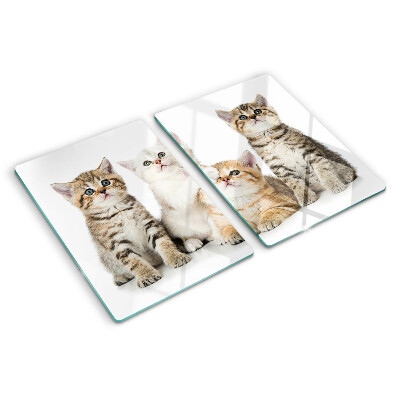 Planche à découper verre Un troupeau de chatons