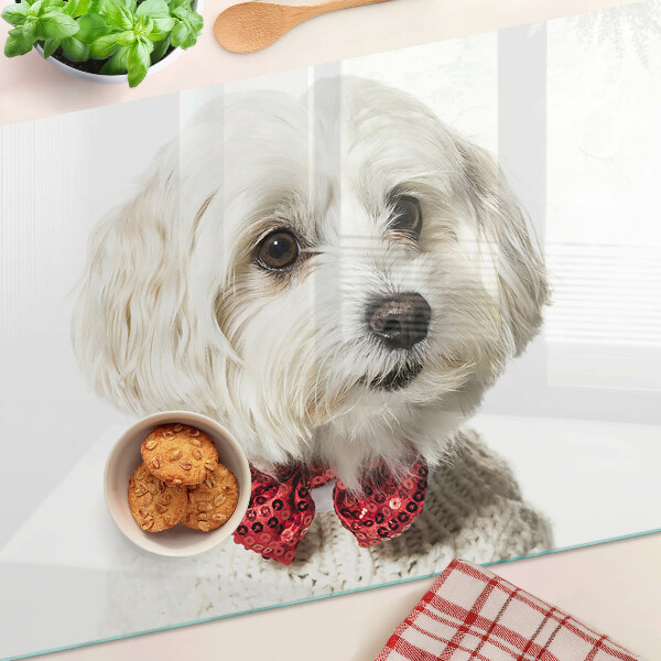Planche à découper verre Un chien dans un pull avec un nœud