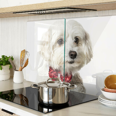 Planche à découper verre Un chien dans un pull avec un nœud