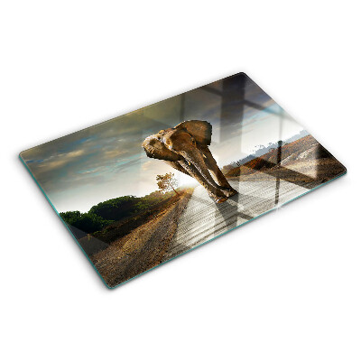 Planche à découper en verre Éléphant sur la route au coucher du soleil