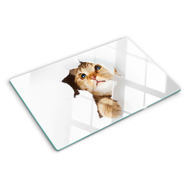 Planche à découper en verre Un chat regardant à travers un trou dans le mur