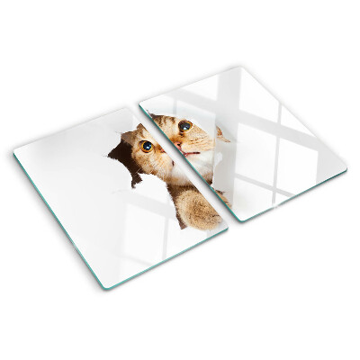Planche à découper en verre Un chat regardant à travers un trou dans le mur