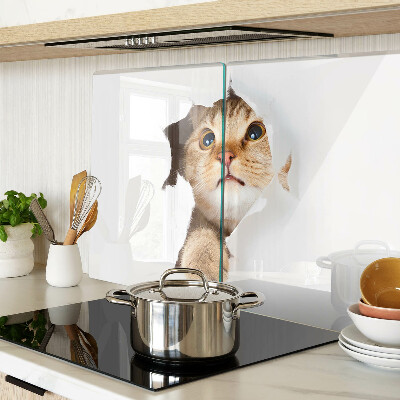 Planche à découper en verre Un chat regardant à travers un trou dans le mur