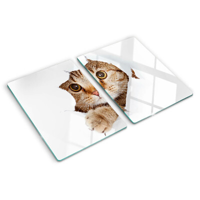 Planche à découper verre Un chat sortant d'un trou