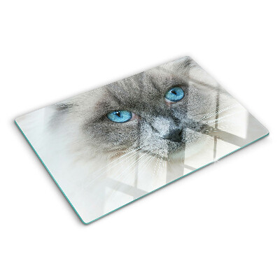 Planche à découper verre Un chat aux yeux bleus