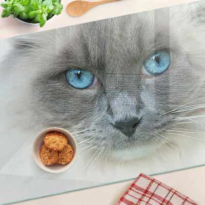 Planche à découper verre Un chat aux yeux bleus