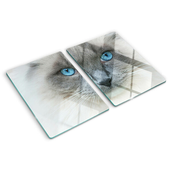 Planche à découper verre Un chat aux yeux bleus