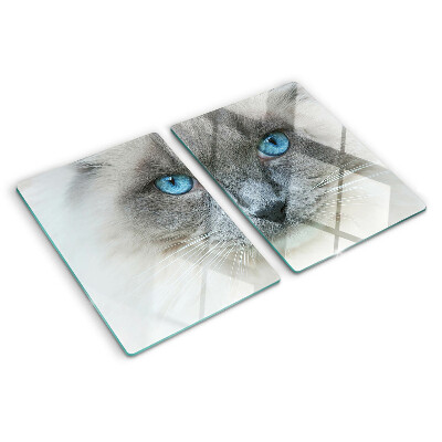 Planche à découper verre Un chat aux yeux bleus