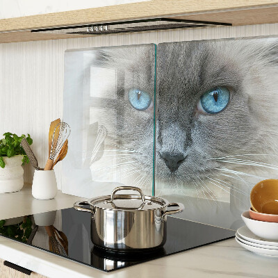 Planche à découper verre Un chat aux yeux bleus