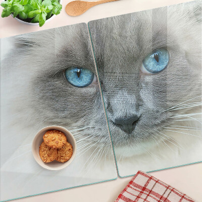 Planche à découper verre Un chat aux yeux bleus
