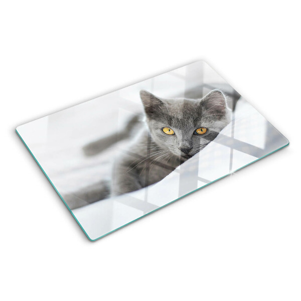 Planche à découper verre Un chat aux yeux jaunes