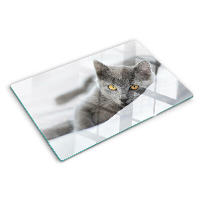 Planche à découper verre Un chat aux yeux jaunes