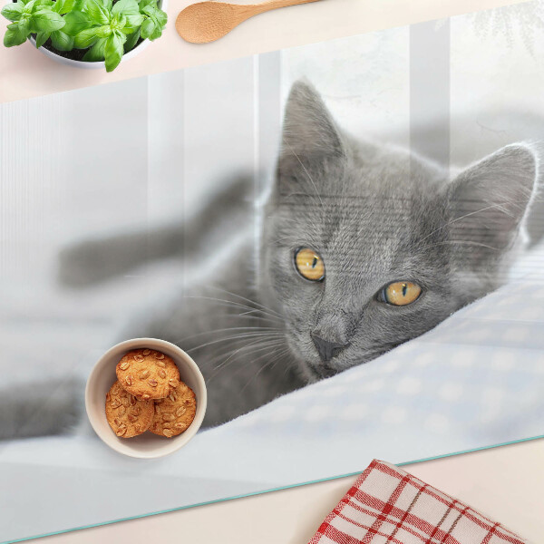 Planche à découper verre Un chat aux yeux jaunes
