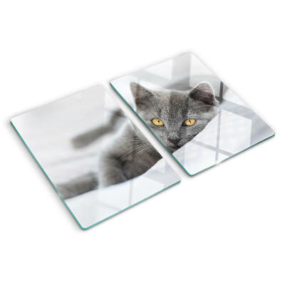 Planche à découper verre Un chat aux yeux jaunes