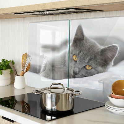 Planche à découper verre Un chat aux yeux jaunes