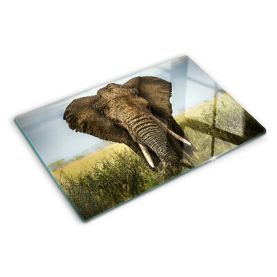 Planche à découper en verre Un éléphant sur fond de savane africaine