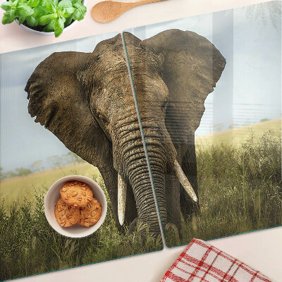 Planche à découper en verre Un éléphant sur fond de savane africaine