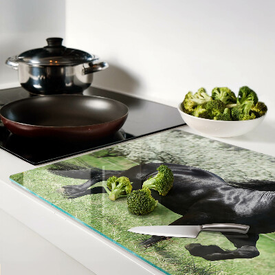 Planche à découper verre Cheval noir dans le pré