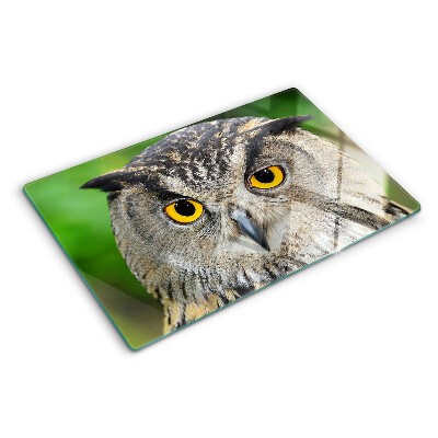 Planche à découper en verre Un hibou aux yeux expressifs