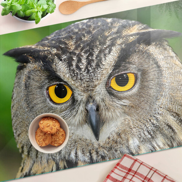 Planche à découper en verre Un hibou aux yeux expressifs