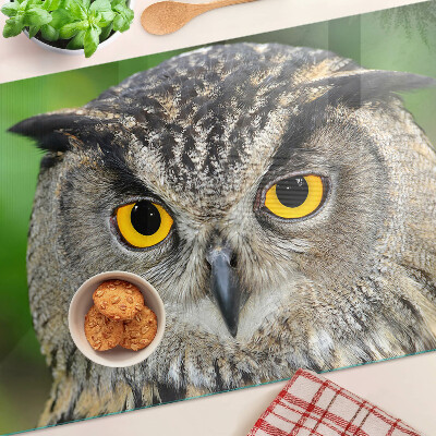 Planche à découper en verre Un hibou aux yeux expressifs