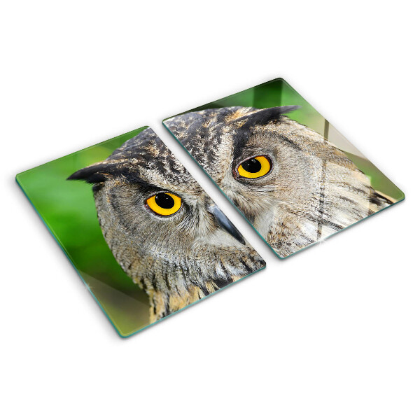 Planche à découper en verre Un hibou aux yeux expressifs