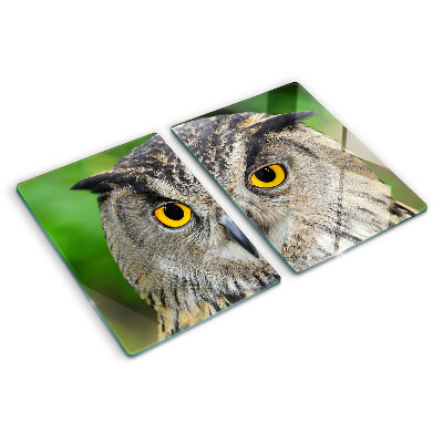 Planche à découper en verre Un hibou aux yeux expressifs