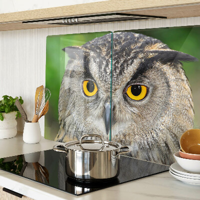 Planche à découper en verre Un hibou aux yeux expressifs