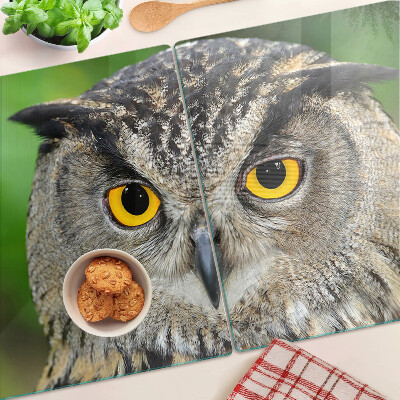 Planche à découper en verre Un hibou aux yeux expressifs