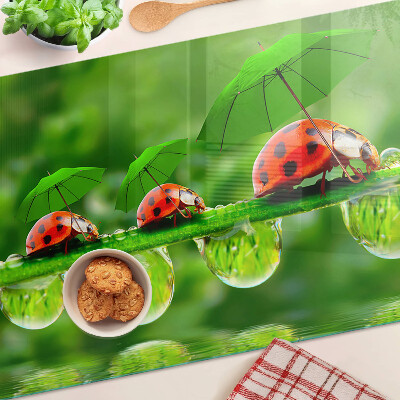 Planche à découper verre Coccinelles sur des feuilles avec des gouttes d'eau