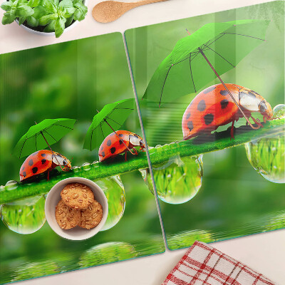 Planche à découper verre Coccinelles sur des feuilles avec des gouttes d'eau