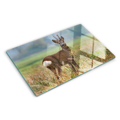 Planche à découper verre Chevreuil dans son habitat naturel