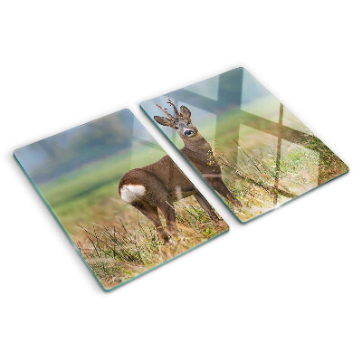 Planche à découper verre Chevreuil dans son habitat naturel