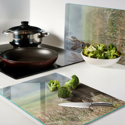 Planche à découper verre Chevreuil dans son habitat naturel