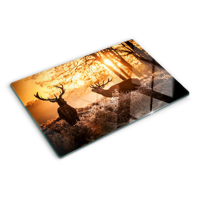 Planche à découper verre Cerf dans la forêt au coucher du soleil