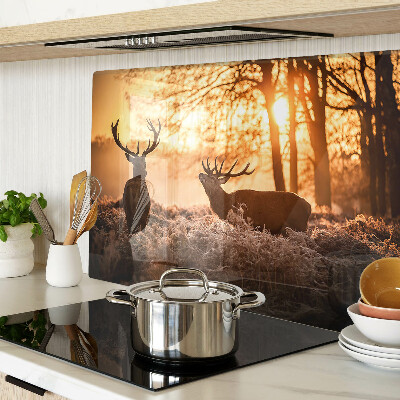 Planche à découper verre Cerf dans la forêt au coucher du soleil