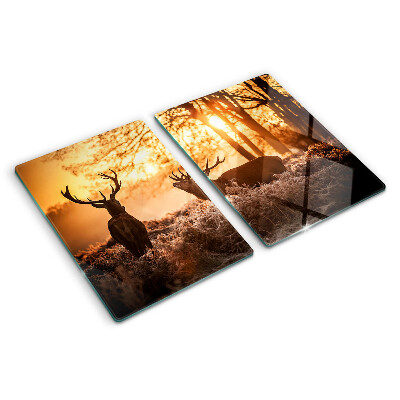Planche à découper verre Cerf dans la forêt au coucher du soleil