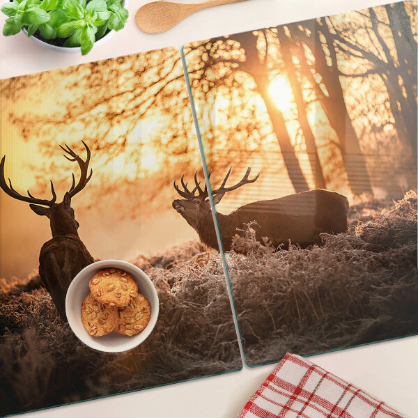 Planche à découper verre Cerf dans la forêt au coucher du soleil