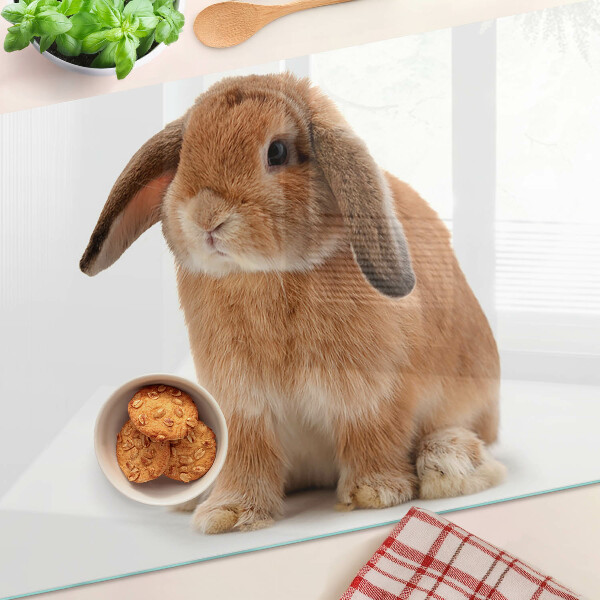 Planche à découper verre Lapin sur fond blanc