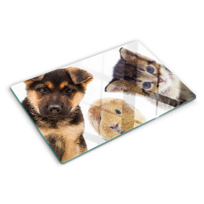 Planche à découper verre Chiens, chats, lapins
