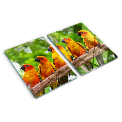 Planche à découper verre Perroquets sur une branche
