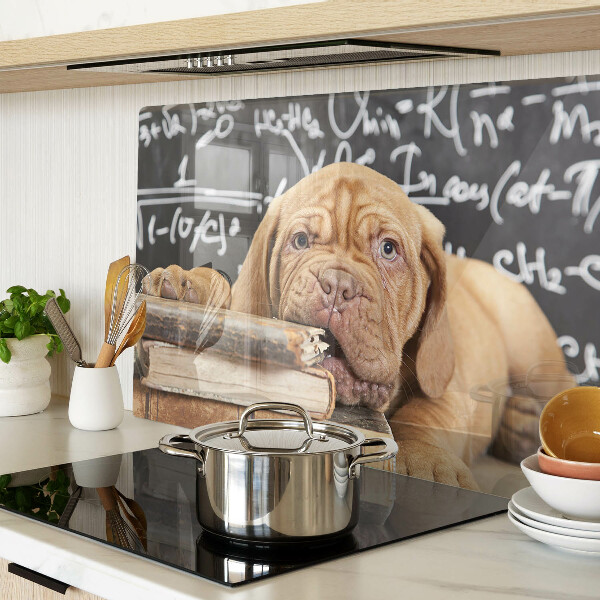 Planche à découper verre Chien avec des livres et un tableau noir