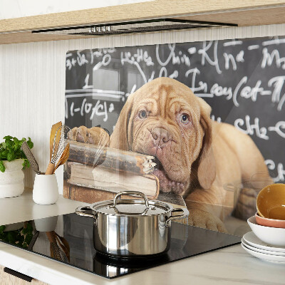 Planche à découper verre Chien avec des livres et un tableau noir
