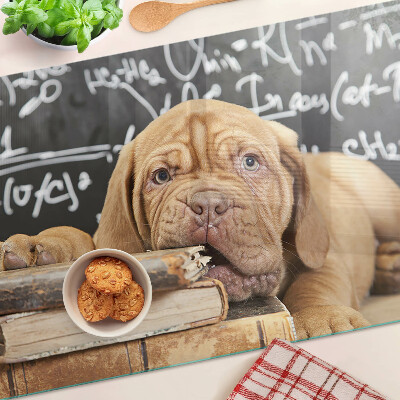 Planche à découper verre Chien avec des livres et un tableau noir